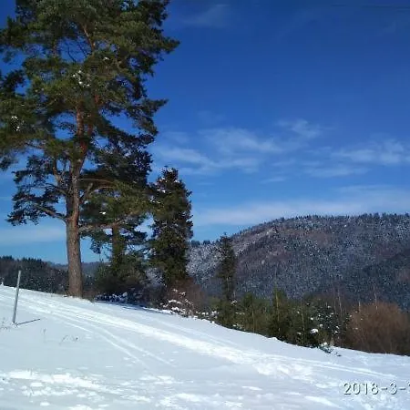 Appartement Apartman Tereza Pine Wood Vyšné Ružbachy
