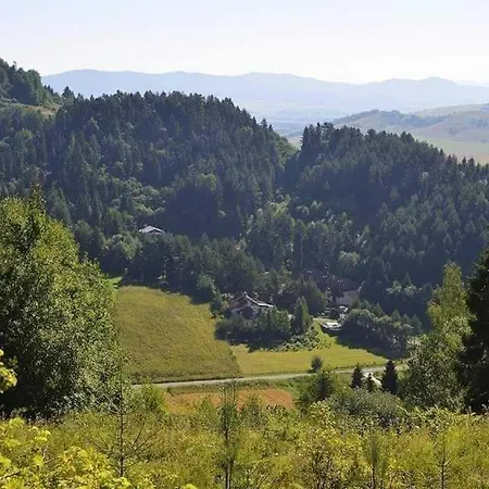 Apartman Tereza Pine Wood * Vyšné Ružbachy